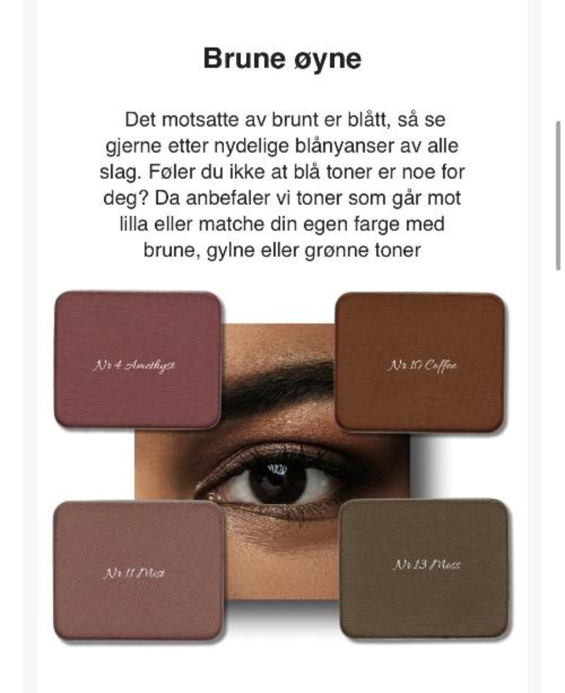 Sminkeguide for brune øyne med et øyebilde og fire øyenskyggerefiller i lilla, brune og mosegrønne nyanser