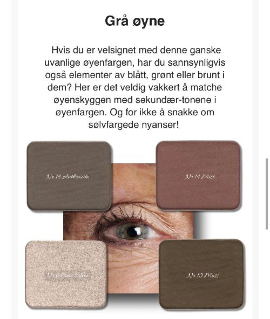 Sminkeguide for grå øyne med et øyebilde og fire øyenskyggerefiller i grå, rosa, lys skimrende og brungrønne nyanser