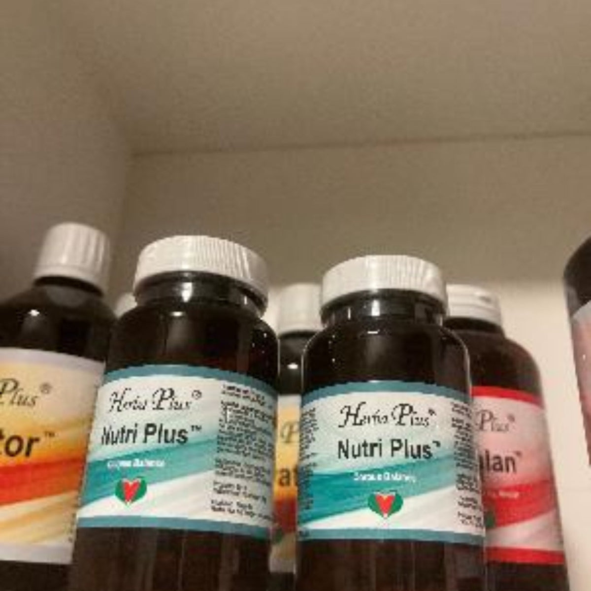 Herba Plus Nutri Plus bokser på hylle – komplett kosttilskudd fra Herba Plus for daglig velvære og balansert næring