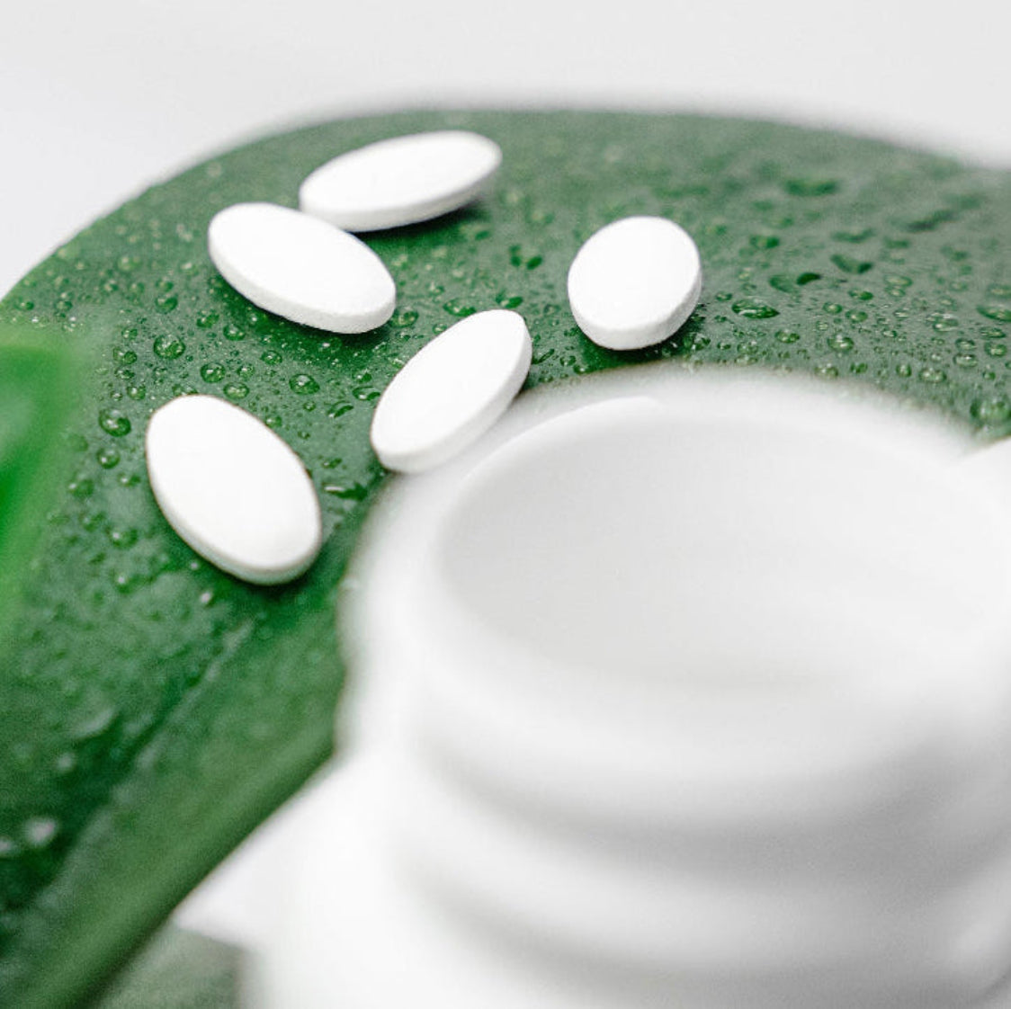 Hvite tabletter på friskt grønt blad med vanndråper ved siden av åpen boks – Herba Plus Magnesium Plus tabletter med magnesium, vitamin D og B6 for normale muskler og nervesystem