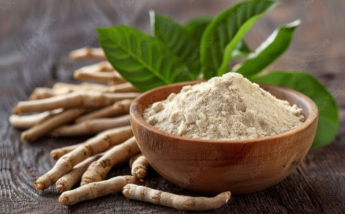 Herba Plus Garlitor – Kosttilskudd med svart hvitløk, ashwagandha og chagasopp