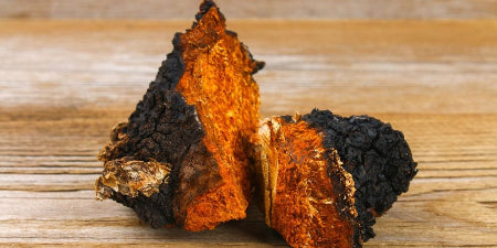 Herba Plus Garlitor – Kosttilskudd med svart hvitløk, ashwagandha og chagasopp