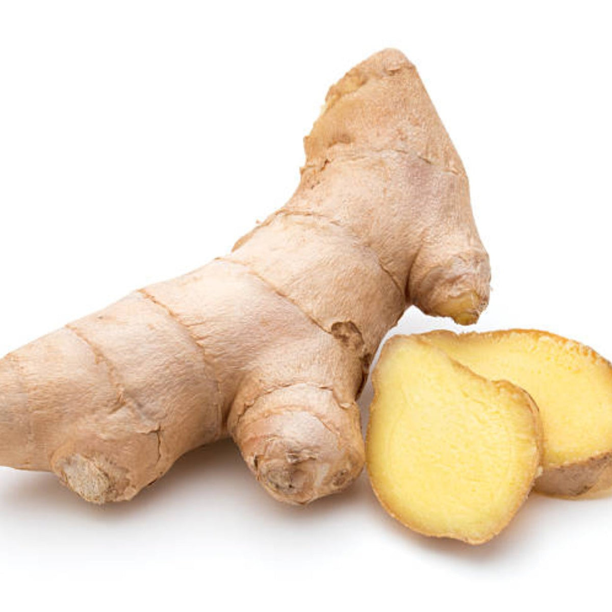 Frisk ingefærrot og ingefærskiver på hvit bakgrunn – ingefær er en av de naturlige urteingredensene i Herba Plus , klassisk urt i europeisk urtetradisjon