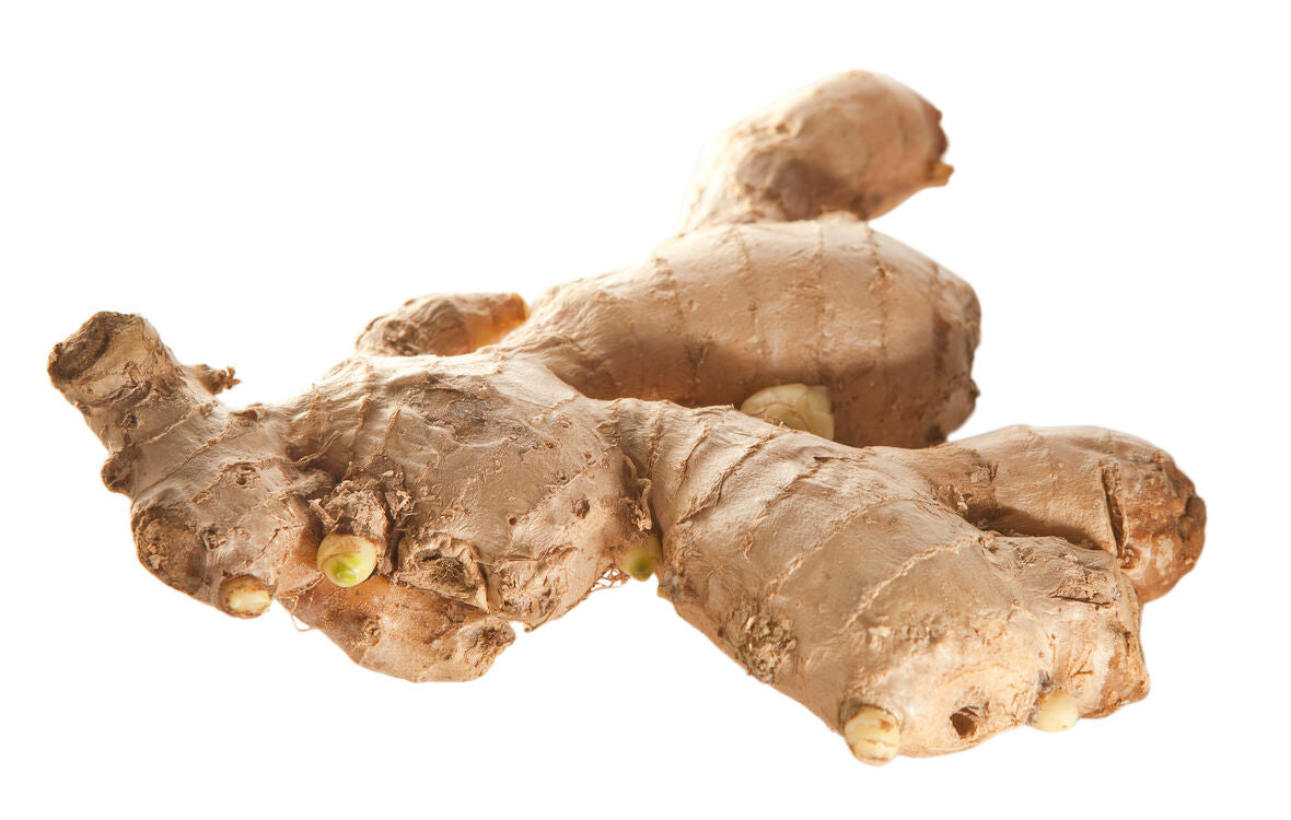 Herba Plus Ingefær – Naturlig støtte for ledd, sirkulasjon og velvære