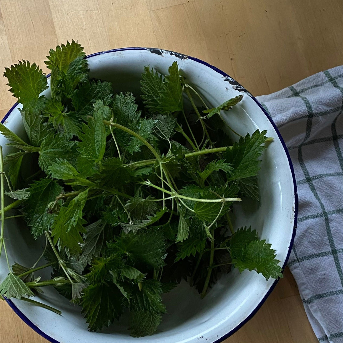 Naturlige urteekstrakter – ingredienser i Herba Plus Activator flytende kosttilskudd
