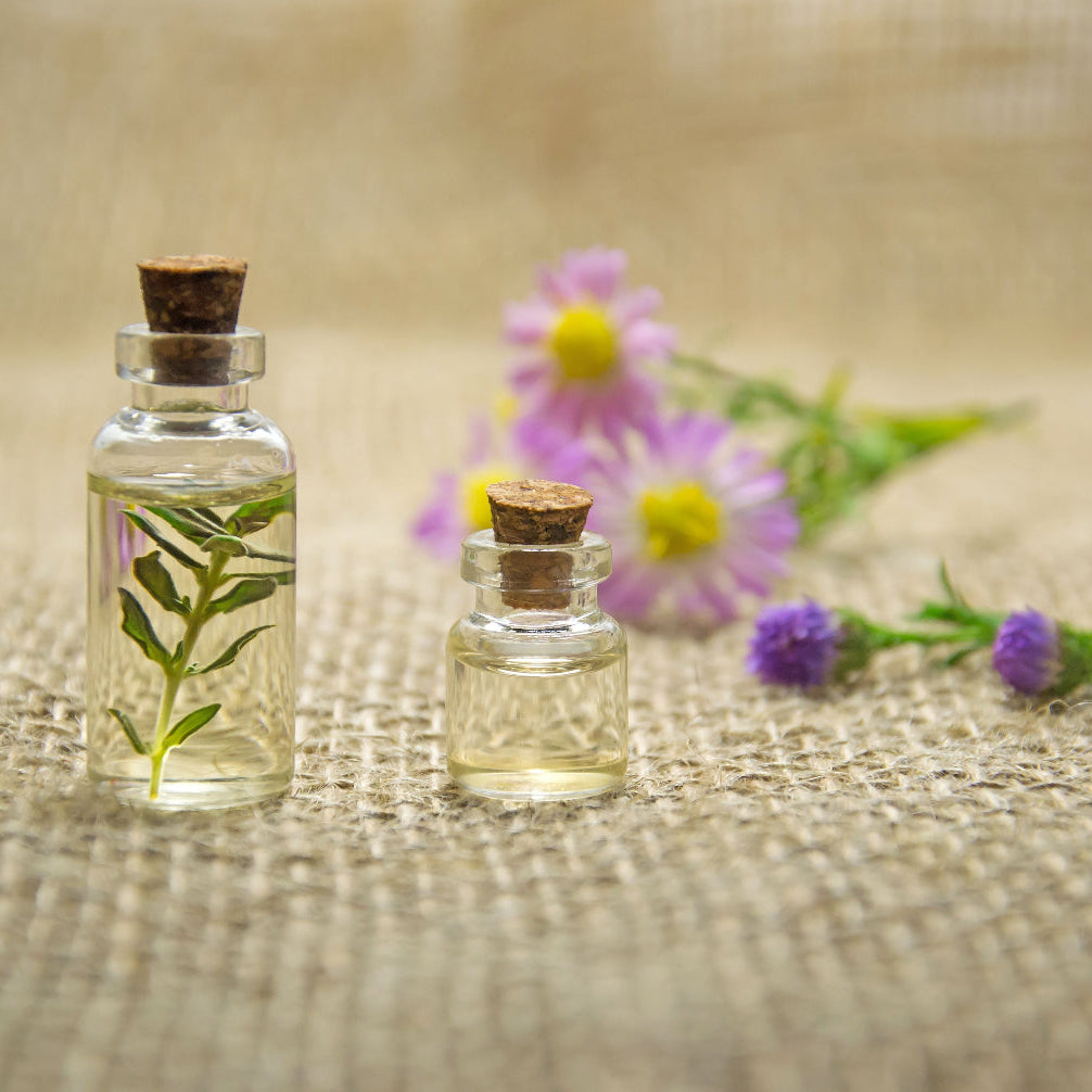  klare flasker med urtekvister og blomster, stemningsfullt herba plus urter